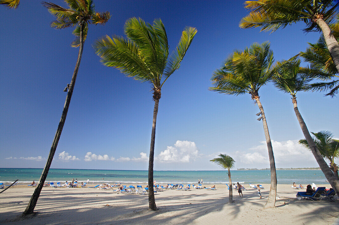 Menschen und Palmen am Strand unter blauem Himmel, Isla Verde, Puerto Rico, Karibik, Amerika