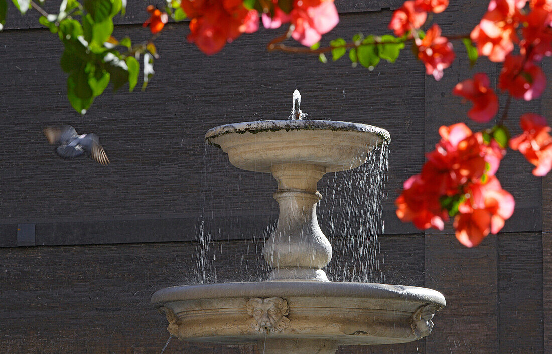 Brunnen im Sonnenlicht, Via Cavour, Rom, Italien, Europa