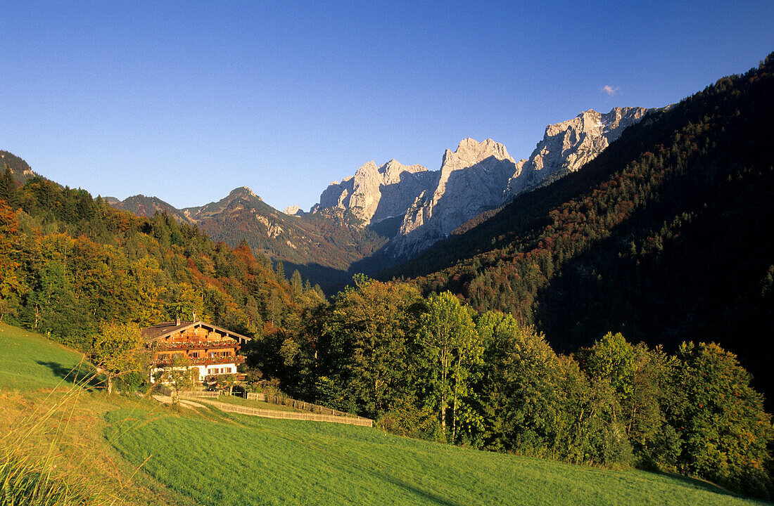 Flowering meadow with alpine hut, Wilder Kaiser range in background, valley Kaisertal, Kaiser mountain range, Tyrol, Austria