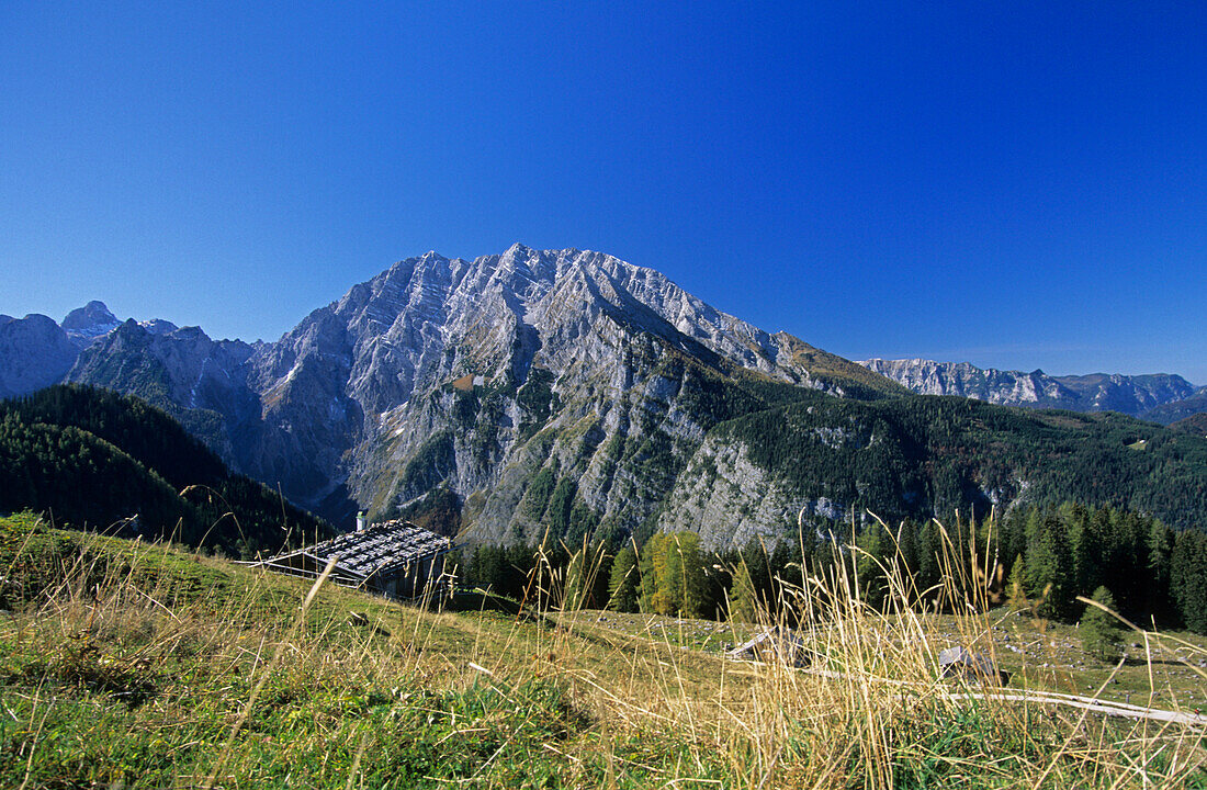 traditionelle Almhütten mit Watzmann, Berchtesgadener Alpen, Berchtesgaden, Oberbayern, Bayern, Deutschland