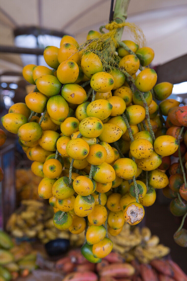 Pupunha Früchte am Mercado Ver O Peso Markt, Belem, Para, Brasilien, Südamerika