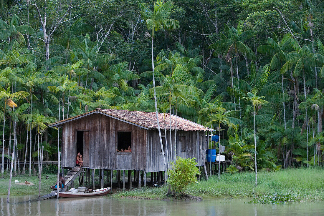 Pfahlbau Hütte am Amazonas und tropischer Regenwald auf der Combo Insel, nahe Belem, Para, Brasilien, Südamerika