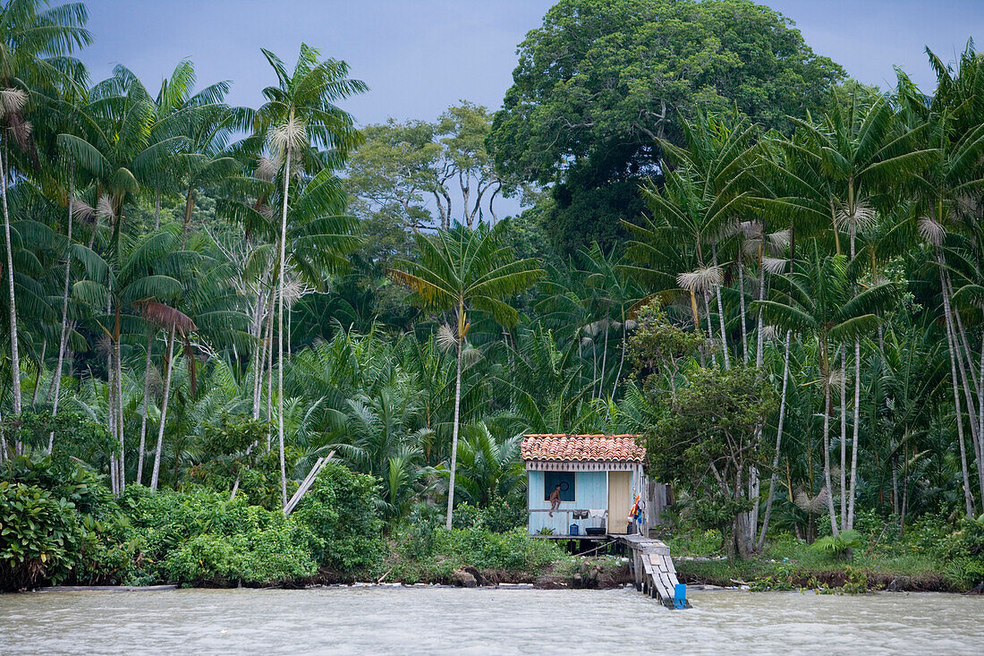 Pfahlbau Hütte am Amazonas und tropischer Regenwald auf der Combo Insel, nahe Belem, Para, Brasilien, Südamerika