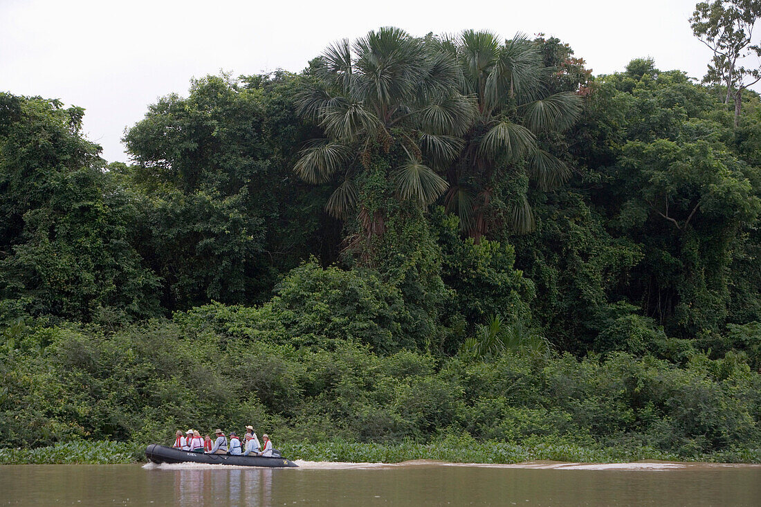 MS Europa Zodiac Expedition und tropischer Regenwald auf Seitenarm vom Amazonas, Rio do Cajari, Para, Brasilien, Südamerika