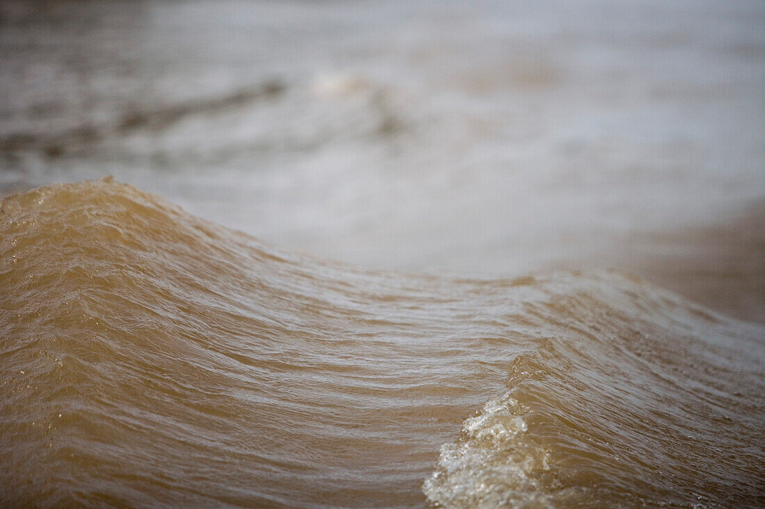 Waves from the MS Europa Zodiac on the surface of the Rio do Cajari, a branch of the Amazon River, Para, Brazil, South America