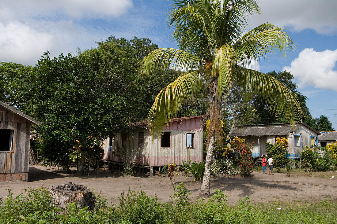 Amazon village in teh Amazon Rainforest, Boca da Valeria, Amazonas, Brazil, South America