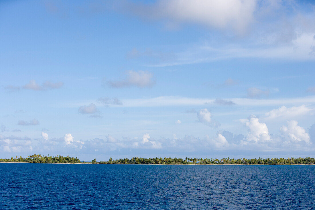 Palmen säumen das Fakarava Atoll, Fakarava, Tuamotu Inseln, Französisch Polynesien, Südsee