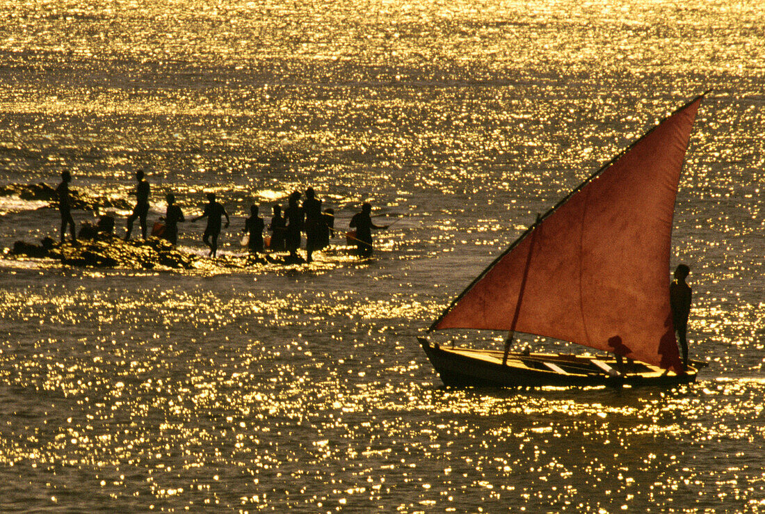 Fishermen on land and sea, Salvador da Bahia, Brazil, South America