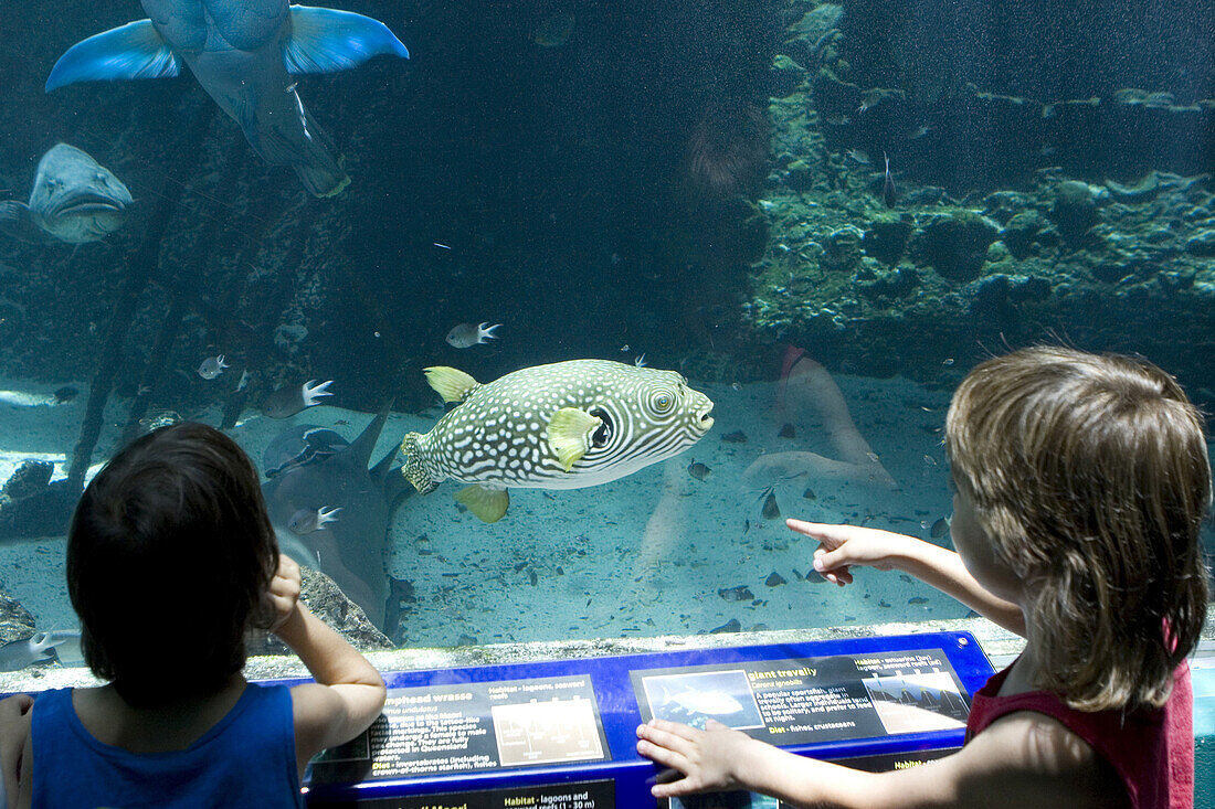 Zwei Mädchen betrachten Fische im Aquarium Reef HQ, Townsville, Queensland, Australien