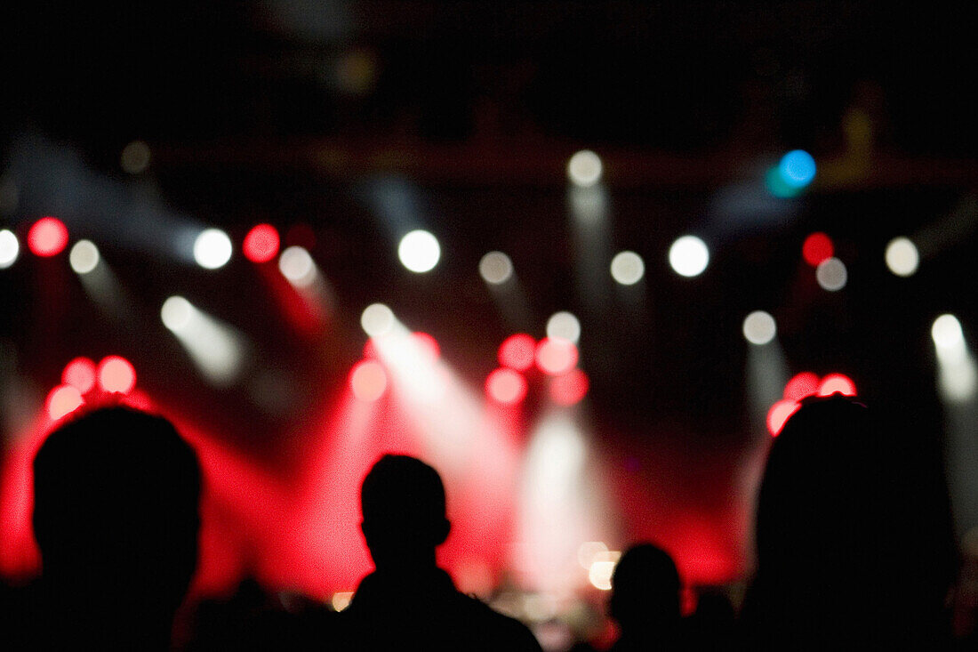 Spectators in floodlight, Rock am See, Konstanz, Baden-Wurttemberg, Germany