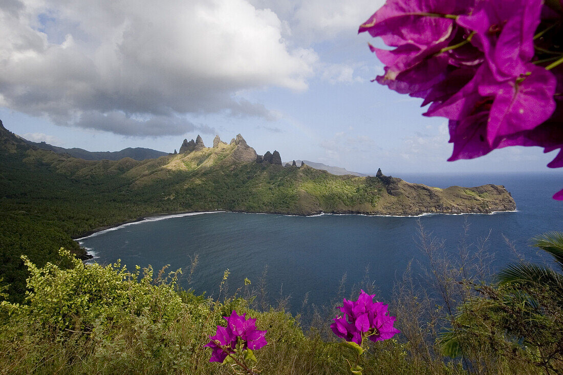 Purple blossoms and Akapa Bay on Nuku Hiva, Marquesas Islands, Polynesia, Oceania