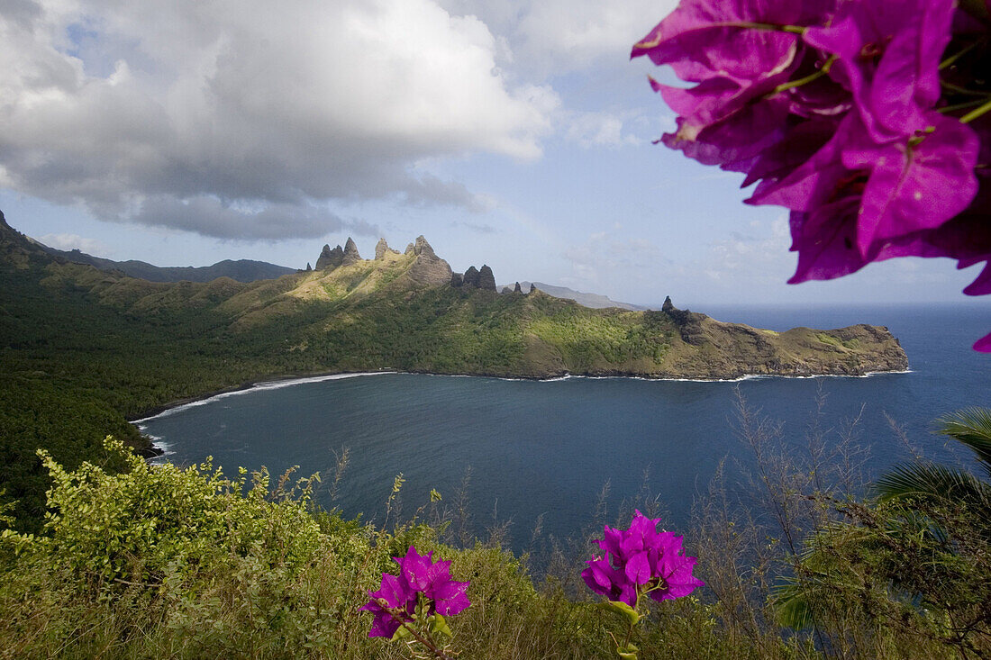 Violette Blüten und Akapa Bucht auf Nuku Hiva, Marquesas Inseln, Polynesien, Ozeanien