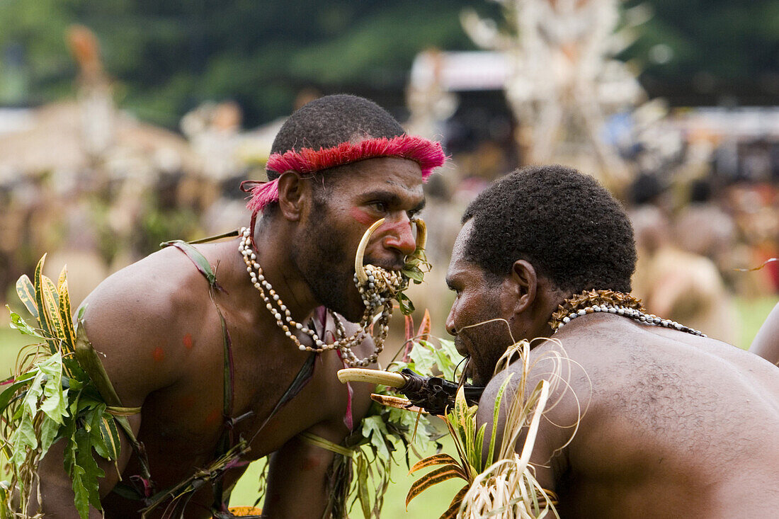 Männer bei Singsing Tanz, Lae, Papua Neuguinea, Ozeanien