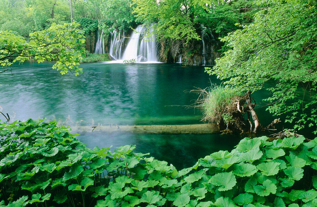 Waterfall. Plitvice National Park. Croatia