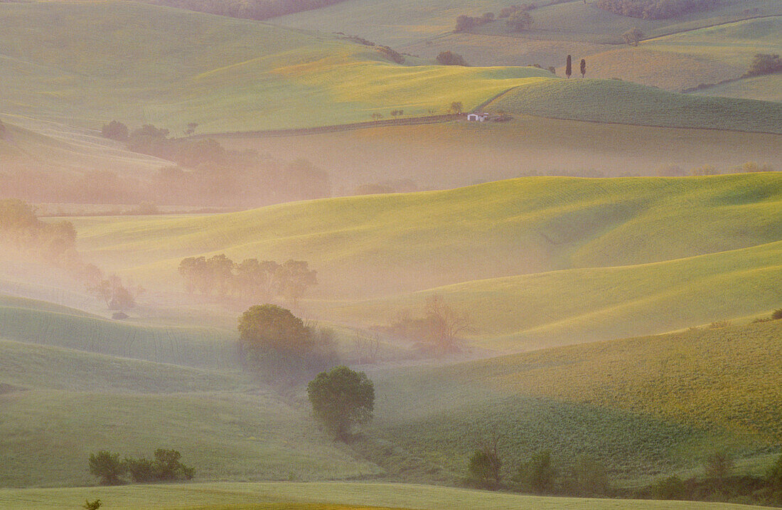 Morning mist in valley. Val d Orcia. Siena province. Tuscany. Italy.