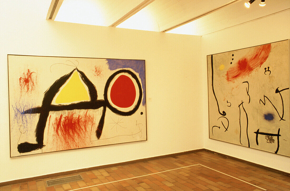 Joan Miró Foundation. Barcelona. Catalonia. Spain