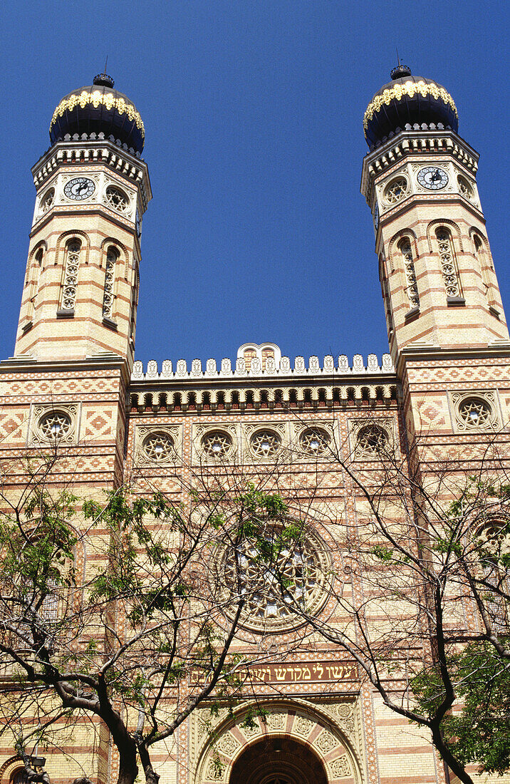 Synagogue. Budapest. Hungary