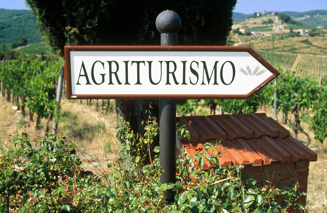  Agriculture, Agrotourism, Agroturismo, Chianti, Color, Colour, Country, Countryside, Daytime, Europe, Exterior, Farm, Farming, Farms, Field, Fields, Horizontal, Italy, Outdoor, Outdoors, Outside, Rural, Rural tourism, Sign, Signs, Toscana, Tuscany, Vine,