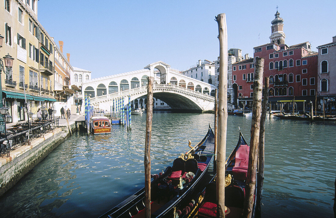 Rialto bridge and Grand Canal. Venice. Veneto, Italy