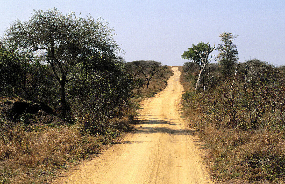  Africa, Color, Colour, Daytime, Empty road, Empty roads, Exterior, Horizon, Horizons, Immense, Immensity, Landscape, Landscapes, Mala Mala, Mala Mala Game Reserve, Nature, Nobody, Outdoor, Outdoors, Outside, Road, Roads, Scenic, Scenics, South Africa, St