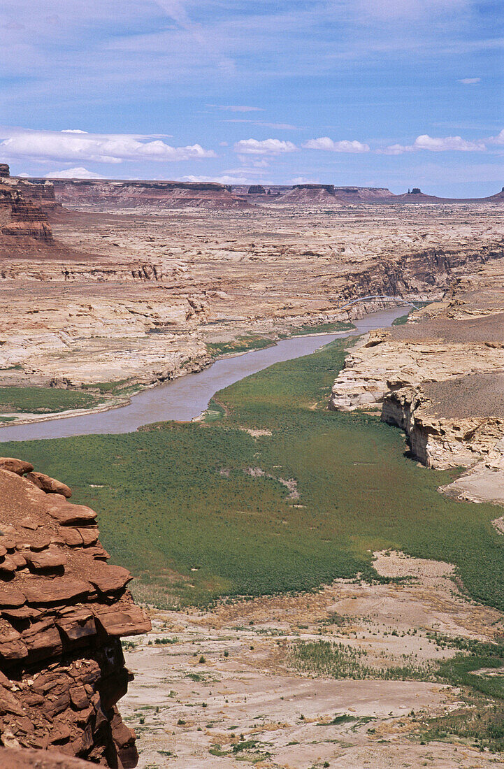 Colorado river near Hite crossing. Glen Canyon National Recreation Area. Utah. USA.