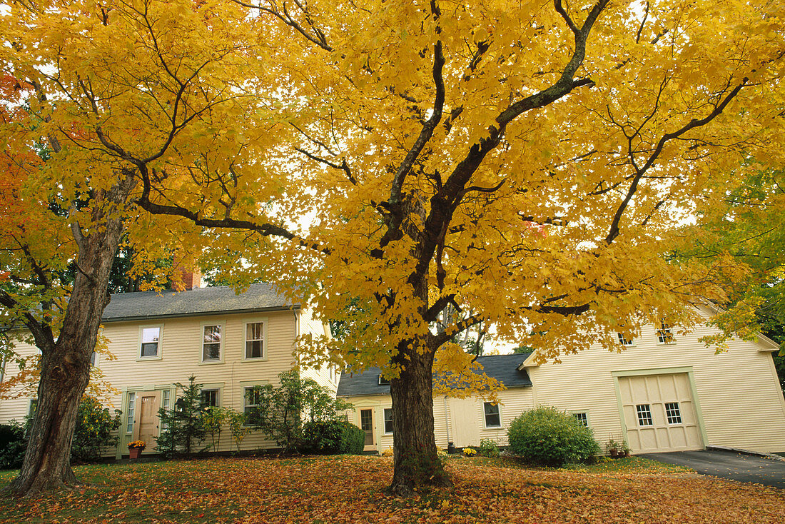 Autumn. New England. USA