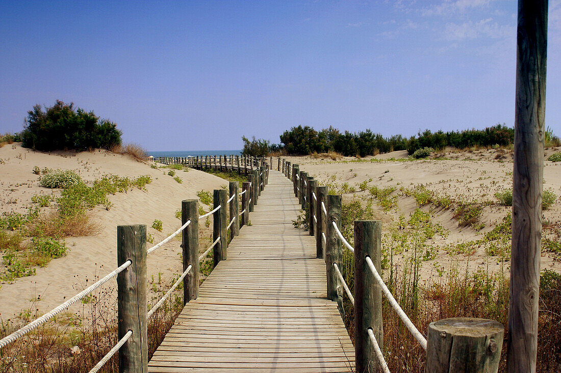 Boardwalk, Ebro River delta Natural Park. Tarragona province, Catalonia, Spain
