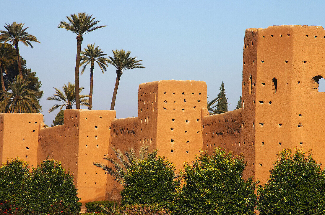 City walls with palm trees. Marrakech. Morocco