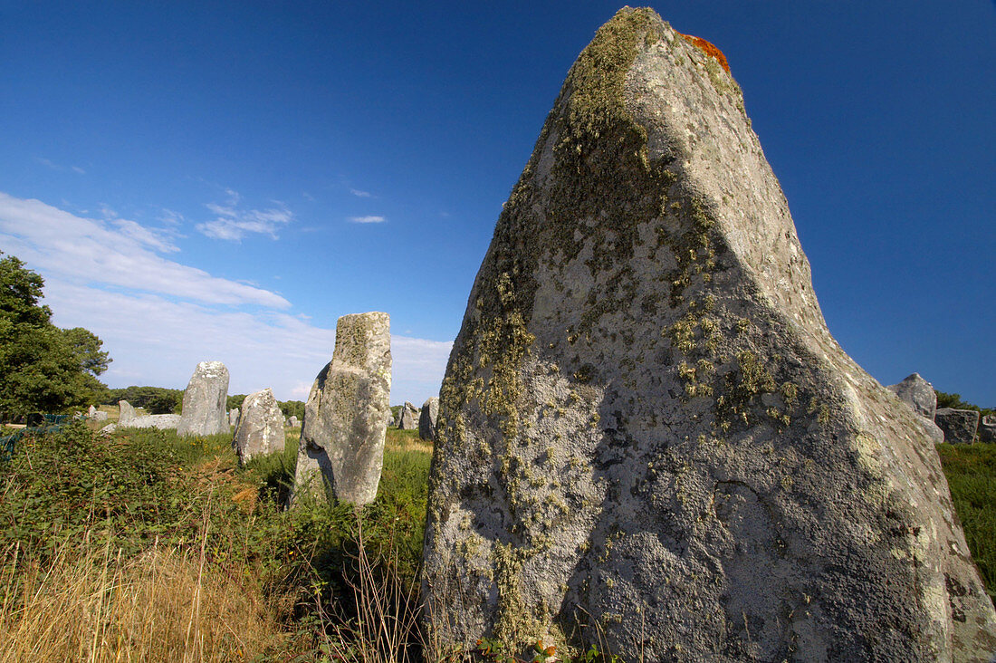 Megalithic stones. Kermario, Carnac. Bretagne. France