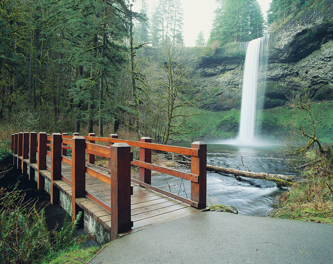 Silver Falls State Park. Oregon. USA