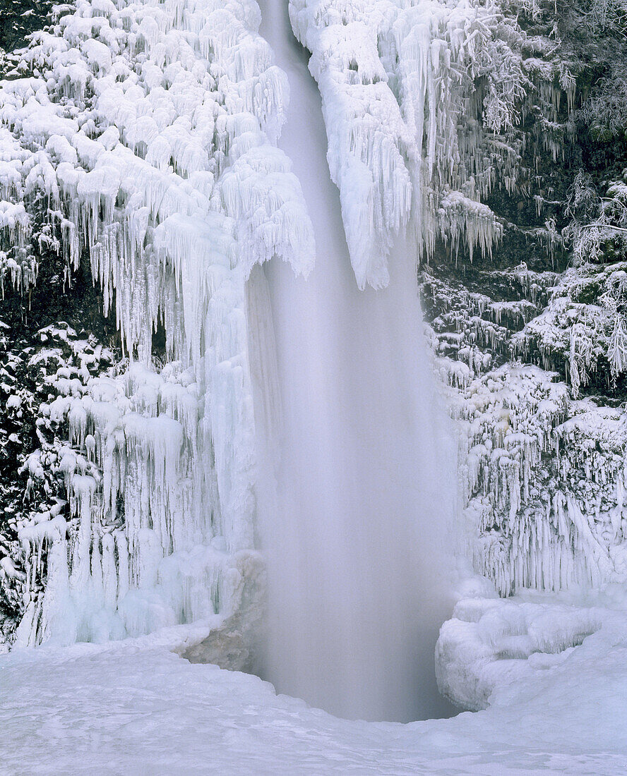 Winter ice hanging on Horsetail Falls. Columbia River Gorge National Scenic Area, Oregon. USA