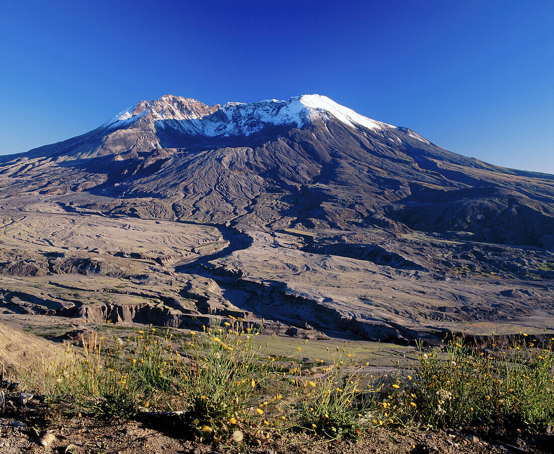Mount St. Helens National Volcanic Monument. Washington. USA
