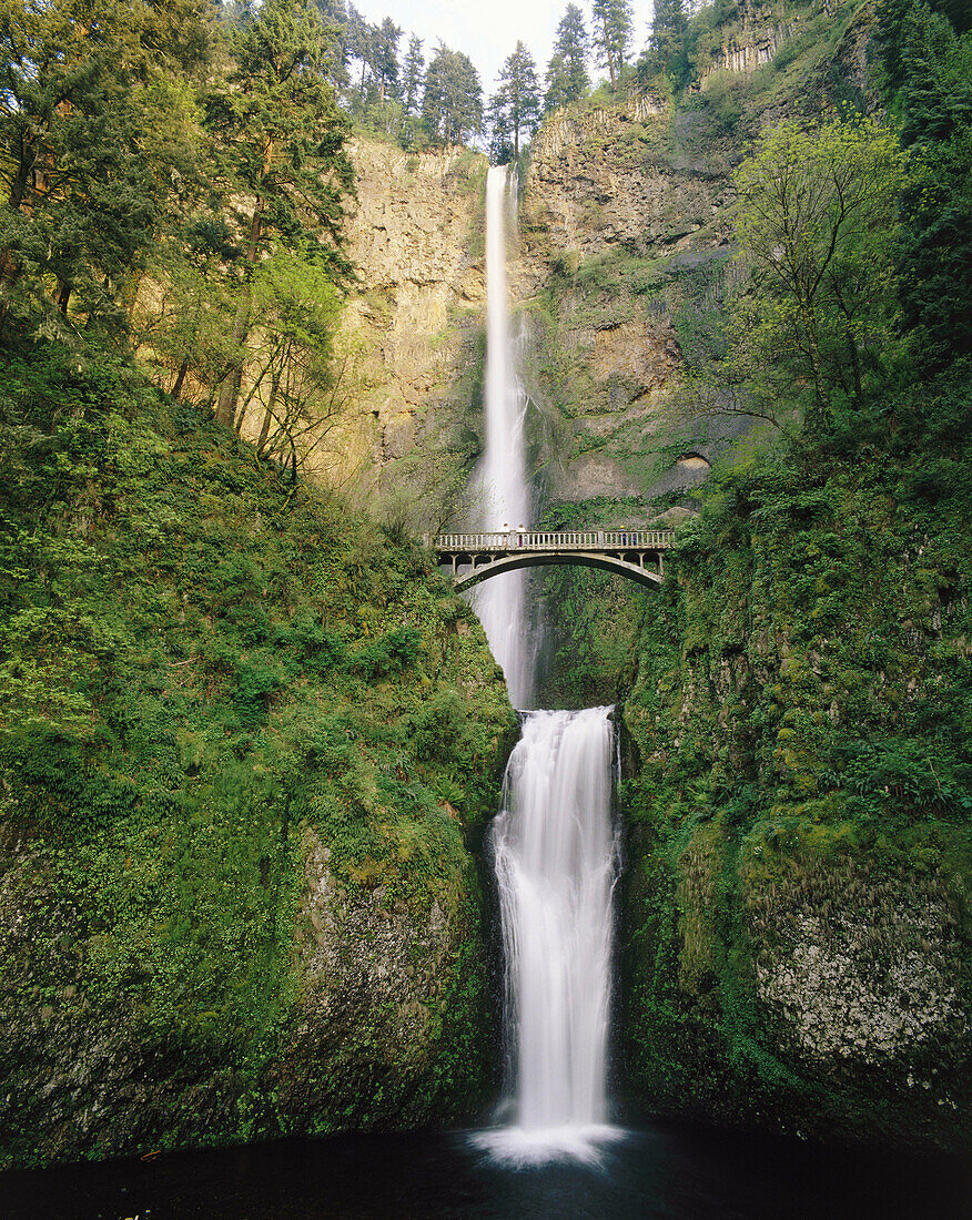 Multnomah Falls. Columbia River Gorge National Scenic Area. Oregon. USA