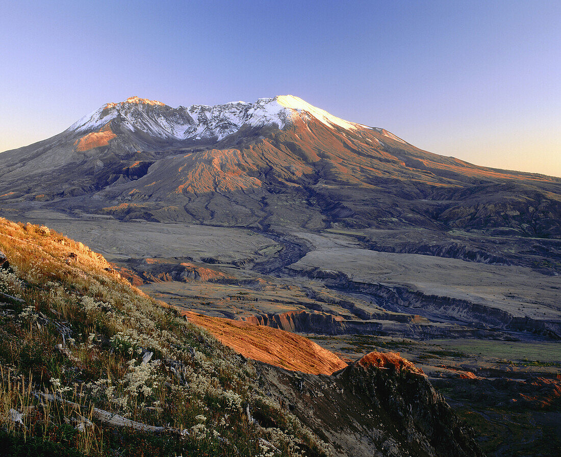 Mount St. Helens National Volcanic Monument (afternoon August). Washington. USA