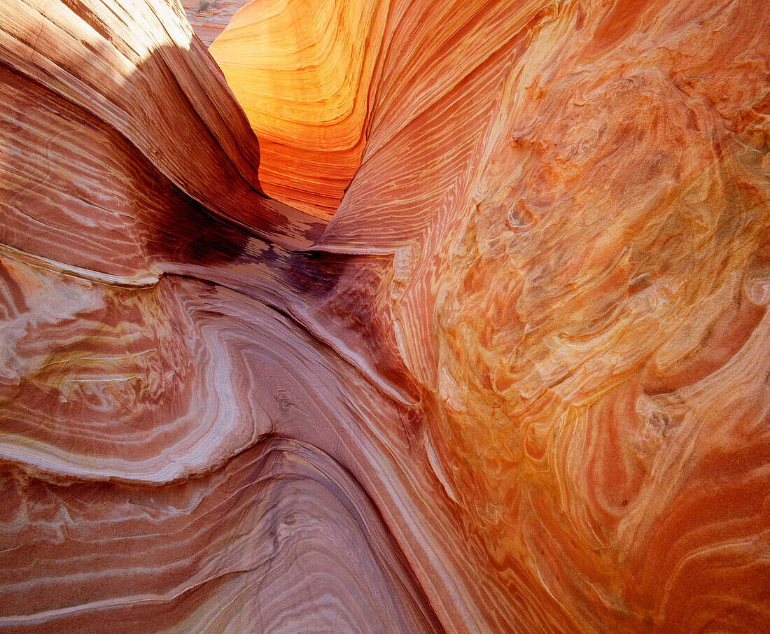 The Wave. Navajo Sandstone formation. Paria Canyon-Vermilion Cliffs Wilderness. Coconino County. Arizona. USA