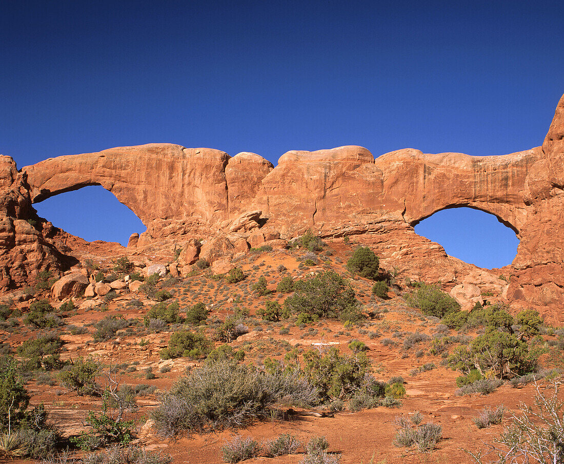 North and South Window Arches. Arches National Park. Utah. USA