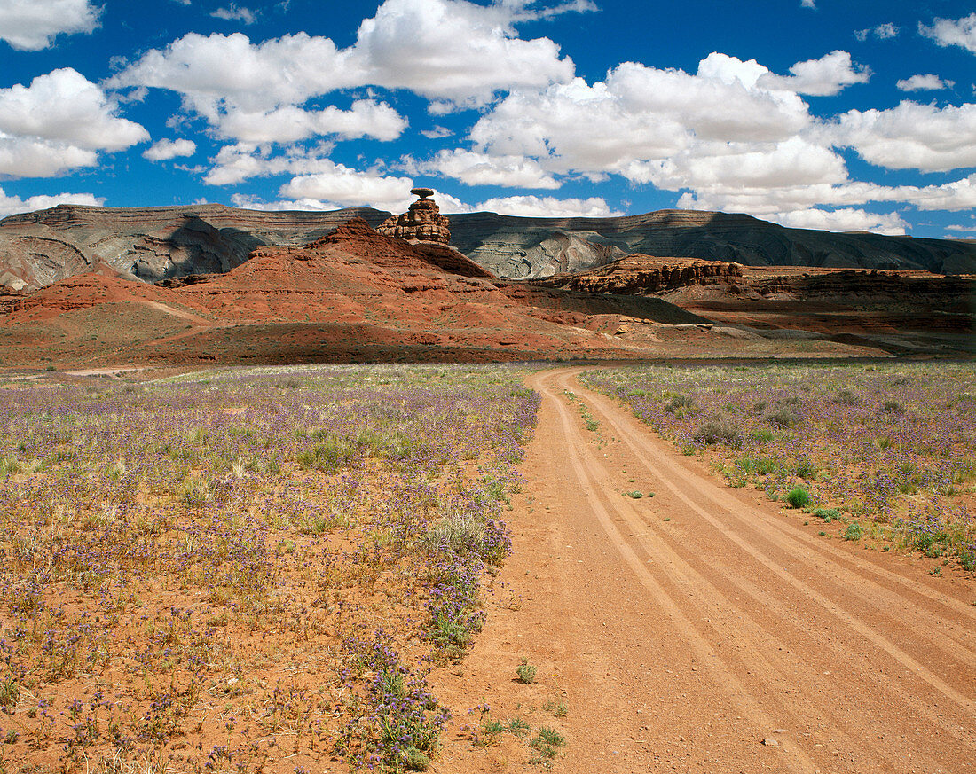 Mexican Hat , a small settlement at the top of a hill on the Navajo Indian Reservation. San Juan County. Utah. USA