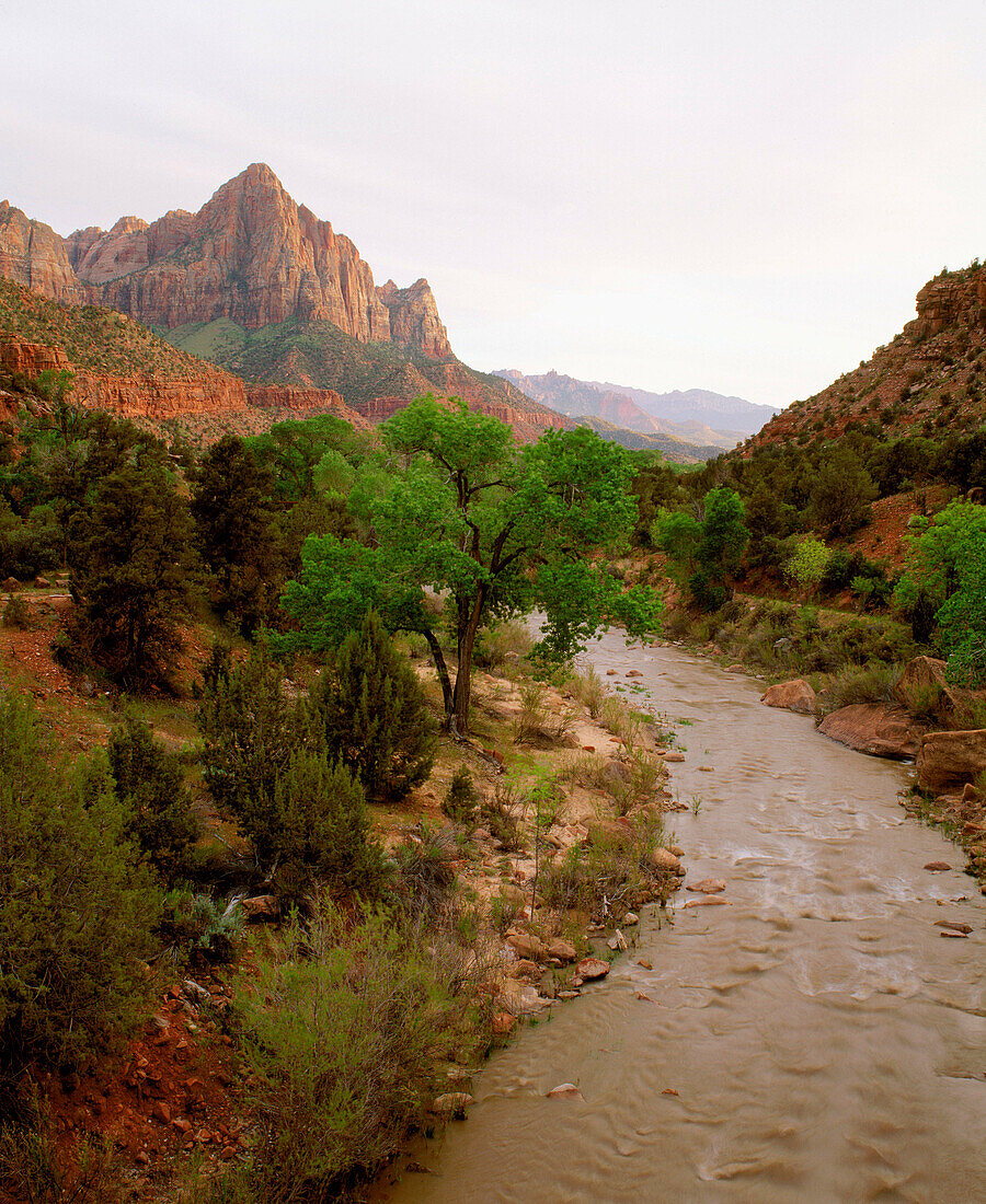 Virgin River and The Watchman. Zion National Park. Utah. USA