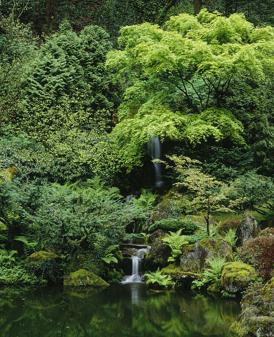 Waterfall and stream. Japanese Gardens. Portland, Multnomah County, Oregon, USA