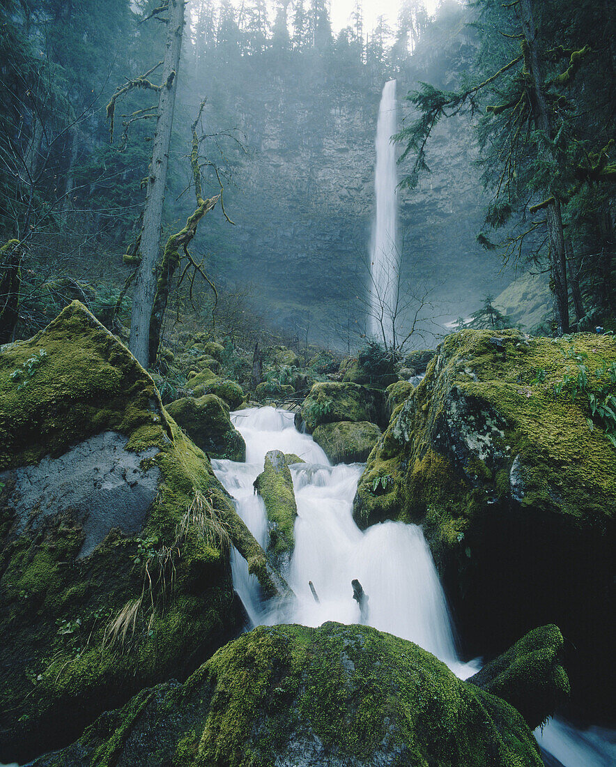 Watson Falls and Watson Creek. Umpqua National Forest. Douglas County. Oregon. USA