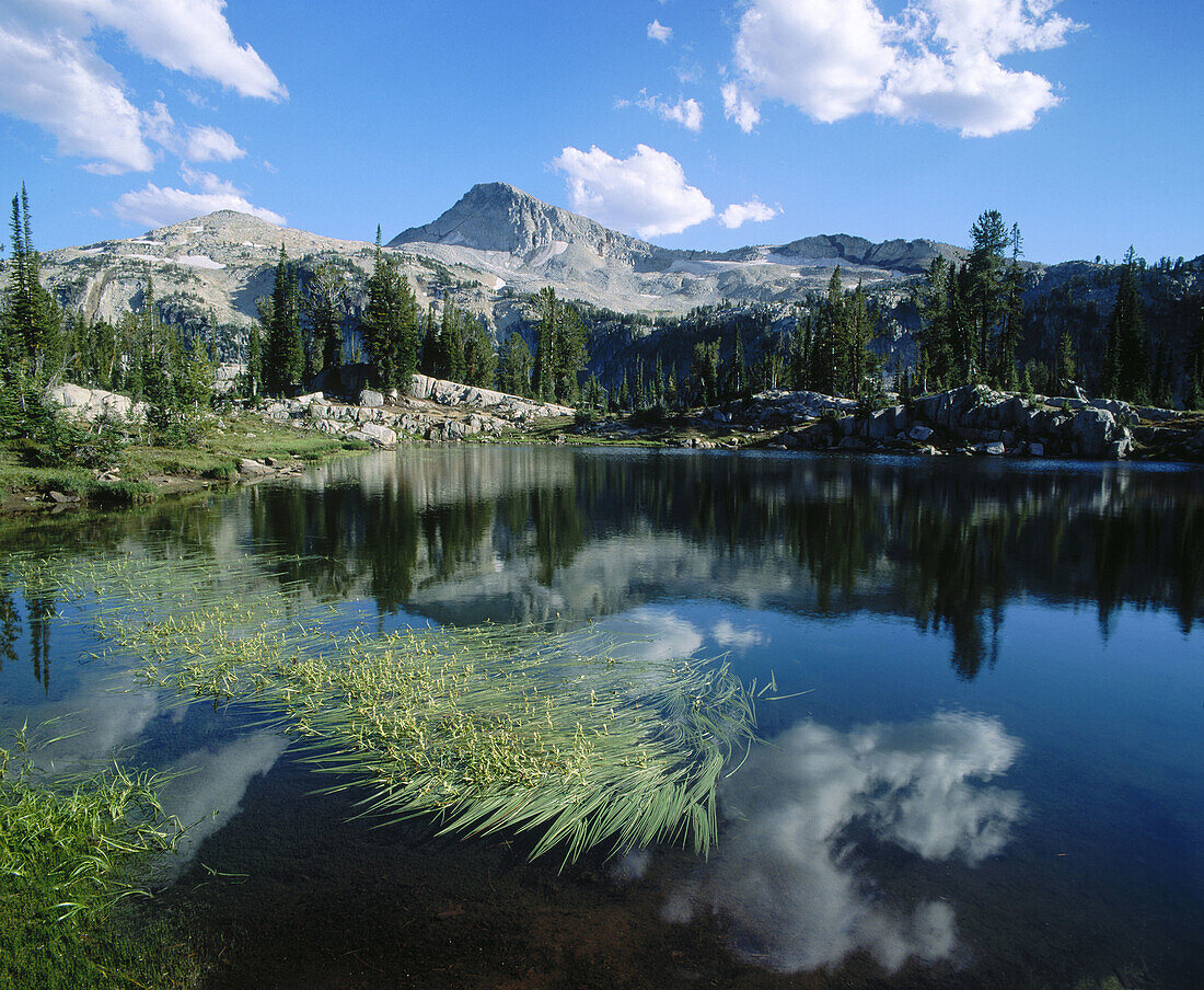 Eagle Cap from Sunshine Lake. Eagle Cap Wilderness. Wallowa-Whitman National Forest. Wallowa County. Northeastern Oregon. USA