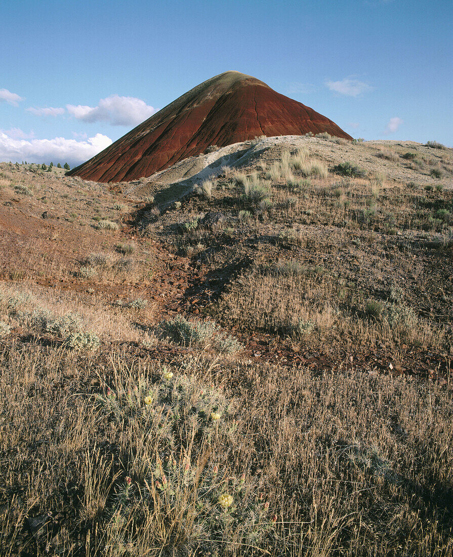 Cinder Cone. Painted Hills. John Day Fossil Beds National Monument. Oregon. USA