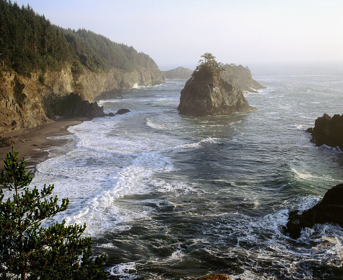 Seastacks. Samuel H. Boardman State Park. Southern coast. Oregon. USA