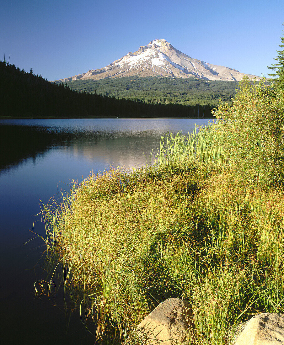 Mt. Hood from Trillium lake. Mt Hood National Forest. Clackamas County. Oregon. USA