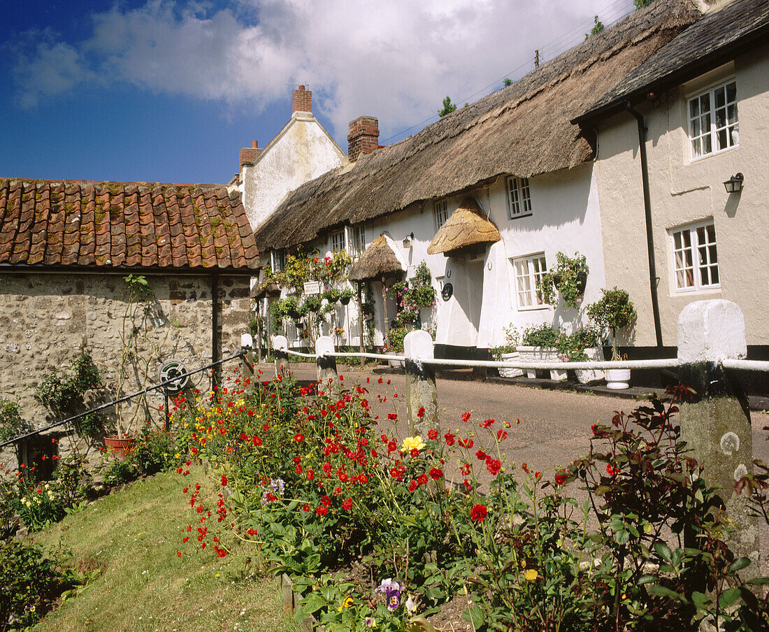 Longview cottage B&B in Branscombe village. Devon, England, UK