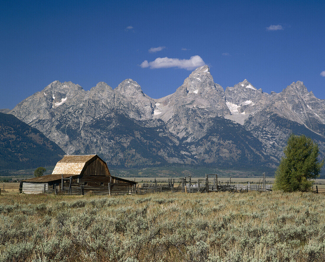 Historic Mormon Barn and Teton Mountain Range, Grand Teton National Park. Teton County, Wyoming. USA.