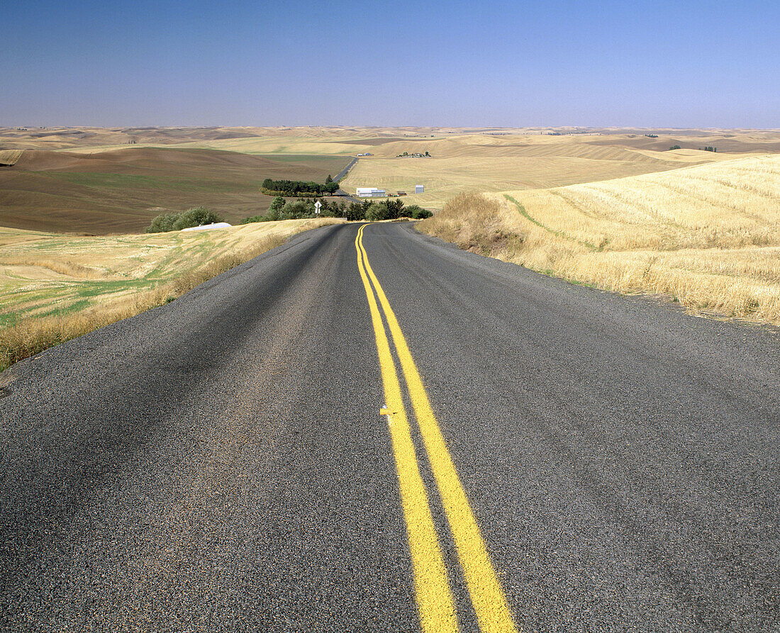 Road through the hills of the Palouse region. Whitman County, Eastern Washington. USA
