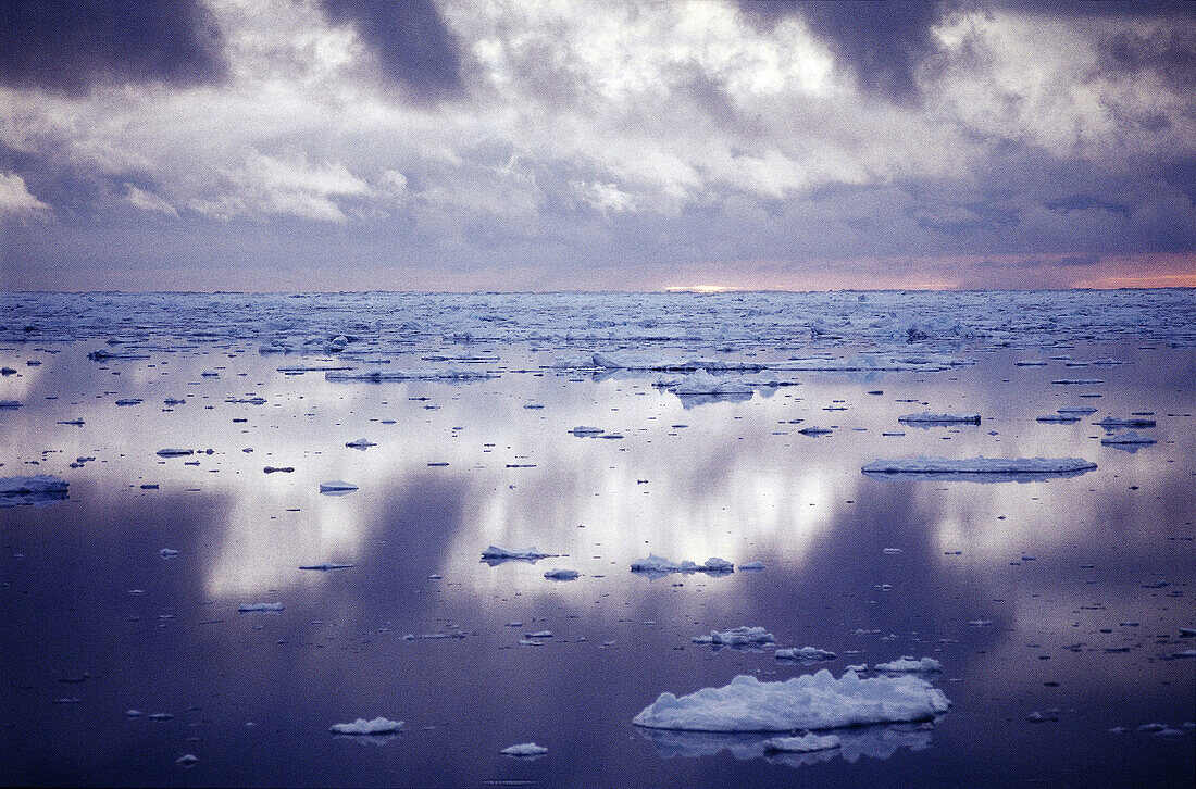 Weddell sea at dusk. Antarctica