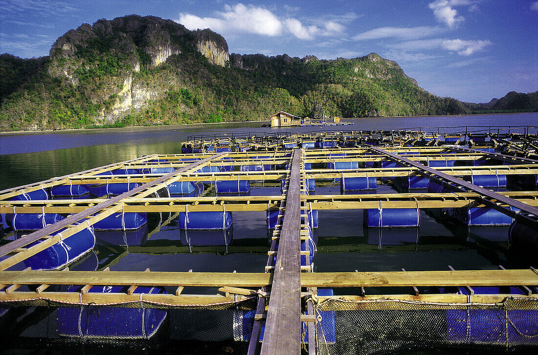 Fish farming. Langkawi Island. Malaysia