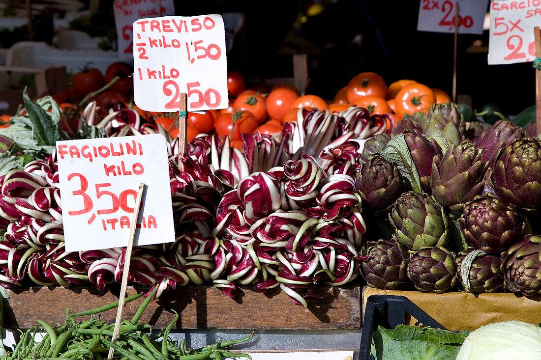 Radicchio di Treviso, Treviso, Venetien, Italien